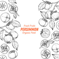 Persimmon fruit hand drawn design. Vector illustration. Design, package, brochure illustration. Persimmon fruit frame illustration. Design elements for packaging design and other.