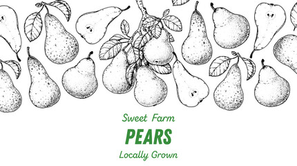 Pear fruit sketch, hand drawn design. Vector illustration. Design, package, brochure illustration. Pear fruit frame illustration. Design elements for packaging design and other.