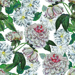 Seamless floral pattern with flowers peony.