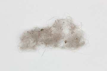 Dust on a white background. Isolated. Dust, hair and other household debris. A pile of rubbish....