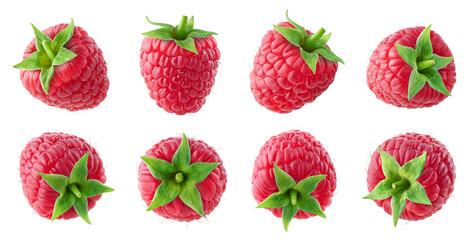 Collection or set of various fresh ripe raspberries on white background