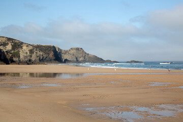 Cliff and Seagull, Odeceixe Beach; Algarve; Portugal