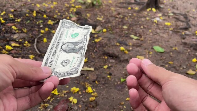 Human hands hold a dollar bill and a peanut offering to a monkey. Monkey hand reach and grab a peanut with nature background. Animal instinct. Concept of making decision. Symbol of choice and option
