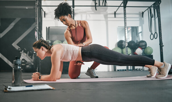 Fitness, plank or personal trainer at gym with woman for training, exercise or workout at health club. Women, focus or healthy sports athlete exercising with coach for progress, support or motivation