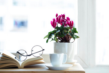 flowers in pots on the windowsill