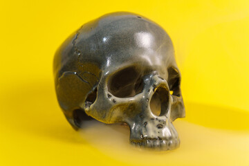 Human skull ceramic model, creative arrangement against pastel yellow background.