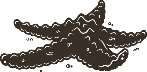 Colored surfing print of starfish on the coast in for summer print. Vector illustration hawaii design