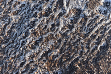 Wavy pattern of melting coastal ice mixed with sand. Abstract photo