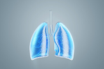 3D image of human lungs filled with fluid, Copy Space, 3D illustration, 3D renderer.