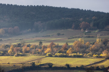 Farm Lands on top of a hill in countryside. France, Europe. Sunny Sunset.