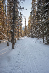 Cross country sky trail at Lake Louise in Banff National Park, Alberta, Canada