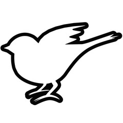 Bird Line illustration