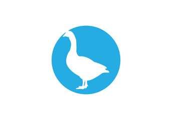 bird logo design 