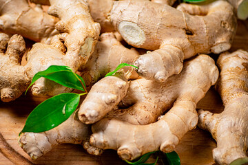Fresh ginger root with leaves. 