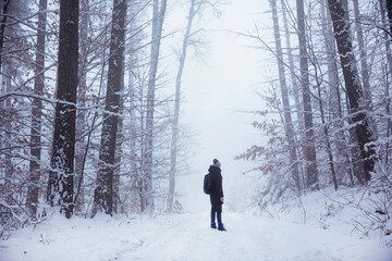 a person walking in the winter forest in the fog, a tourist in the forest