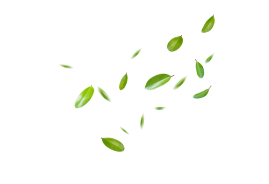 Green Floating Leaves Flying Leaves Green Leaf Dancing, Air Purifier Atmosphere Simple Main Picture.