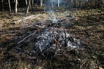 Bonfire burning in the woods during a picnic