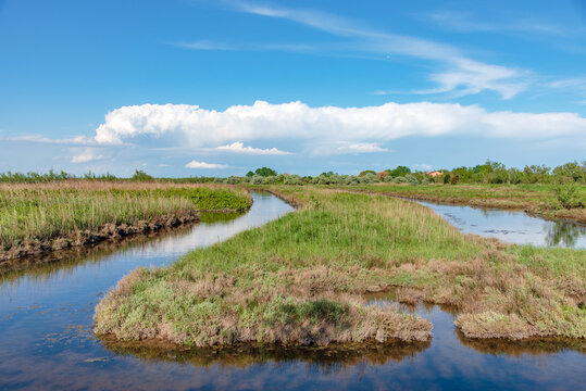 Laguna di Cavallino Treporti - Venezia