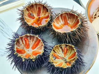 Sea urchins as delicacy and appetizer, French Riviera food, Cote d'Azur, Nice - Powered by Adobe