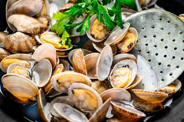 Fresh vongole. Macro background. Texture vongole. © Artem Shadrin