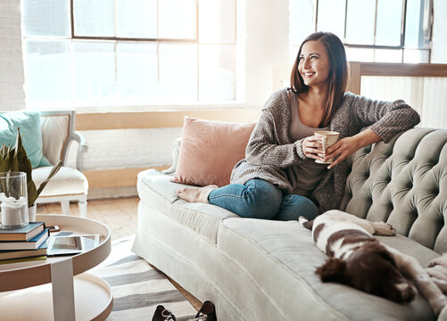 Relax, morning tea and woman with dog on a home living room couch feeling calm with happy lifestyle. Happiness and smile of person with puppy thinking with coffee on peaceful lounge day in a house