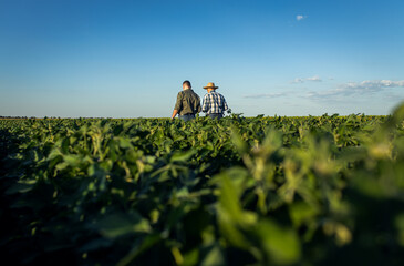 Two farmers in a field examining soy crop.