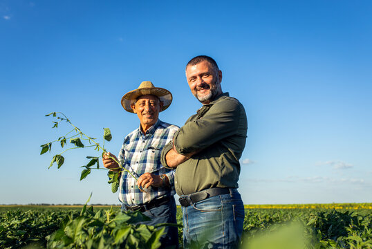 Portrait of two farmers in a field examining soy crop.