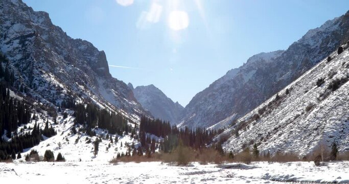 Snow capped mountains and fir trees in the winter park