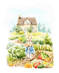 Watercolor fantasy cute rabbit Peter in blue jacket sit among vegetables and eat carrot in garden near house isolated on white background. Hand drawn illustration sketch