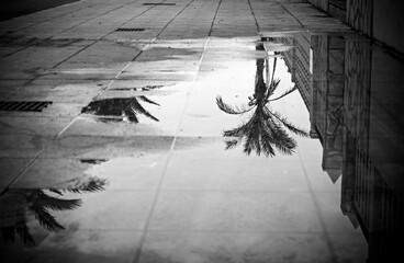 Reflection on the beach
