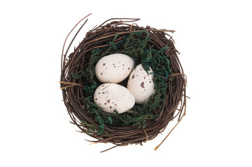 bird's nest with eggs isolated