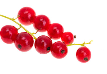 currant isolated