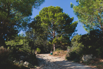 View of hiking trail from Paleokastritsa to Lakones, Old Donkey path, Corfu, Kerkyra, Greece, Ionian sea islands, with olive grove forest and mountains, in a summer sunny day, trekking on Corfu