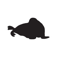 Cute walrus silhouette on a white background. Vector hand drawn kids illustration. Sea ocean. Underwater world