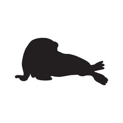 Cute walrus silhouette on a white background. Vector hand drawn kids illustration. Sea ocean. Underwater world