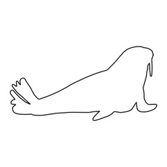 Cute walrus line silhouette on a white background. Vector hand drawn kids illustration. Sea ocean. Underwater world
