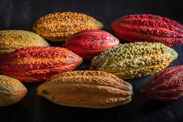Variedad de cacaos del Ecuador