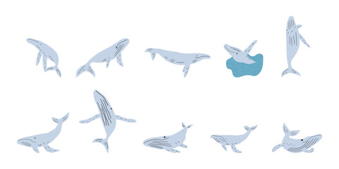Whale, ocean animal. Sealife in Scandinavian style on a white background. Great for poster, card, apparel print. Vector illustration
