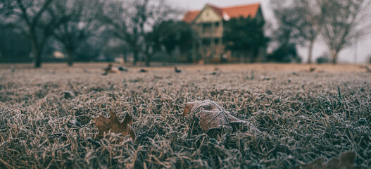 frost on leaves in front of an old two-story building