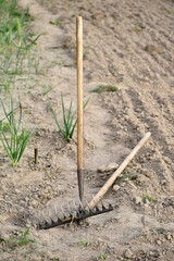 The farm tool is in the garden.