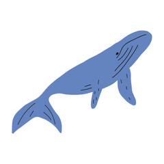 Whale, ocean animal. Sealife in Scandinavian style on a white background. Great for poster, card, apparel print. Vector illustration