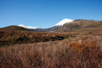 Fototapeta na wymiar Rolling landscape of alpine vegetation leading to conical volcanic cone of Mount Ngauruhoe