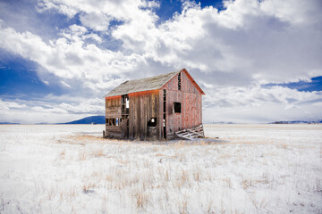 Red abandoned barn in an open field, San Luis Valley, Colorado, with fence, bright blue sky,...