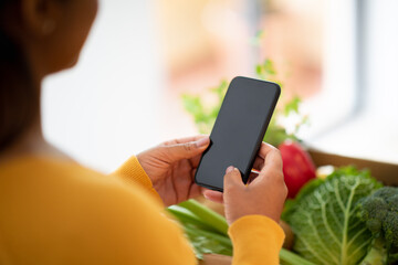 Young black woman typing on smartphone with blank screen over package with groceries, organic vegetables in kitchen