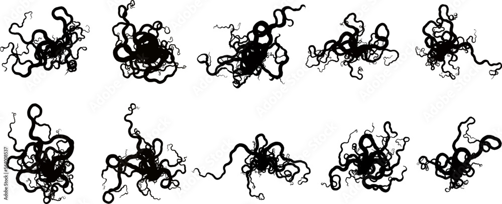 Wall mural set of vector tangle of tentacles - vector design of decorative plexus templates kit