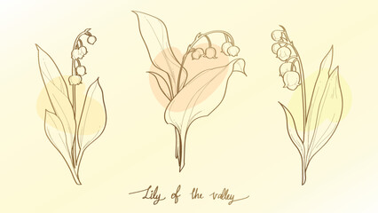 Lily of the valley Handrawn Flower vector engraved illustrations set