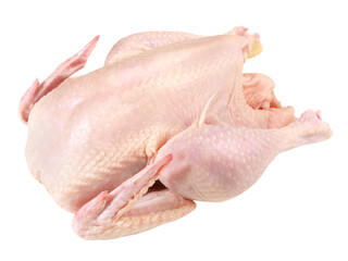 Raw Chicken PNG with Transparent Background