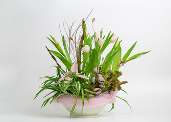 a bouquet of tulips, equality and moss on a log