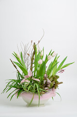 a bouquet of tulips, equality and moss on a log