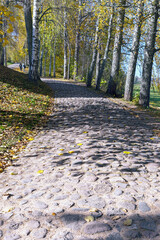 narrow cobblestone road among autumn birch park in Pushkin mountains, Pskov, Russia